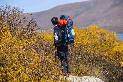 美国一架小型商用飞机紧急迫降在弗吉尼亚州高速公路